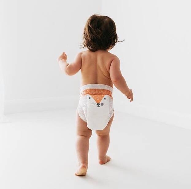 pannolini diapers maxi kit & kin