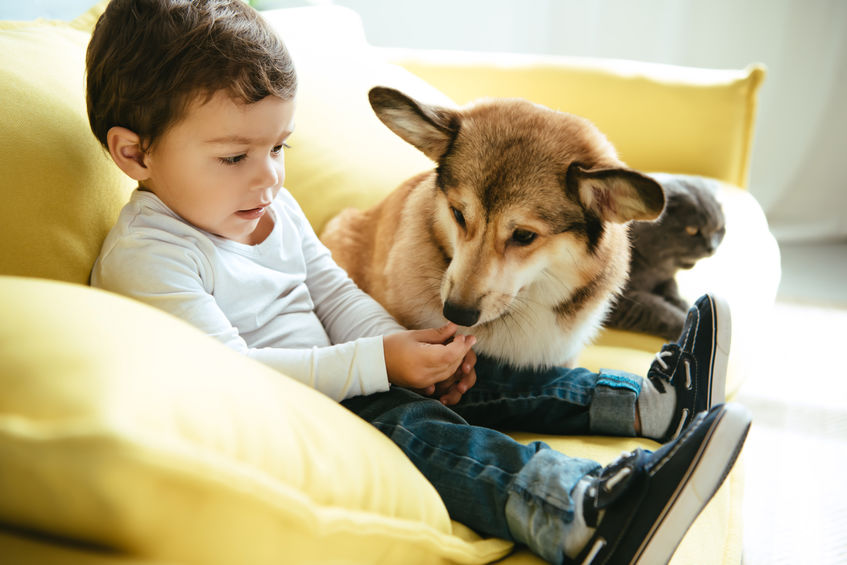 bambini e cuccioli di cane