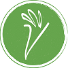vegano