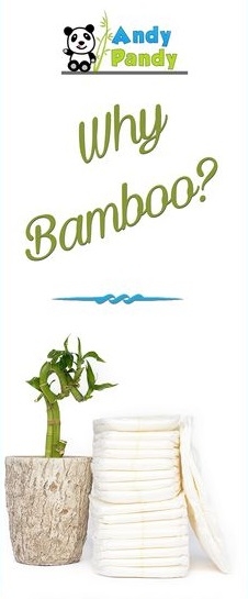 why bambù andy pandy